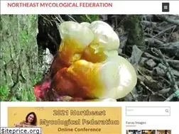 Sites similar to nemf.org