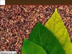 Sites similar to nemzetidohany.hu