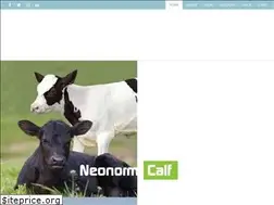 Sites similar to neonorm.com
