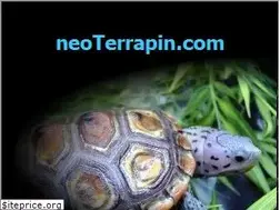 Sites similar to neoterrapin.com