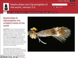 Sites similar to nepticuloidea.info