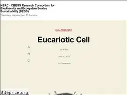 Sites similar to nerc-bess.net