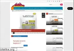 Sites similar to nerenin.net