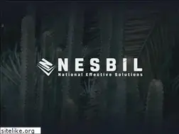 Sites similar to nesbildns.com