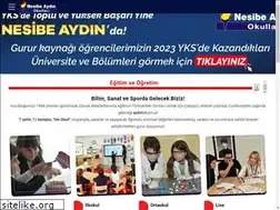 Sites similar to nesibeaydin.k12.tr