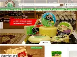 Sites similar to nesimeshur.com