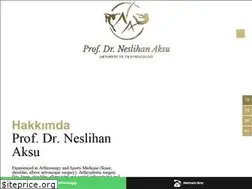Sites similar to neslihanaksu.com