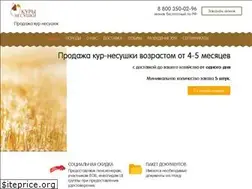 Sites similar to nesushki.su