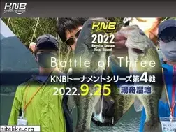Sites similar to net-basser.net
