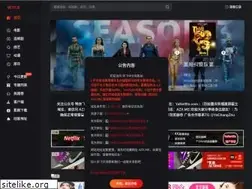 Sites similar to netflix.wang