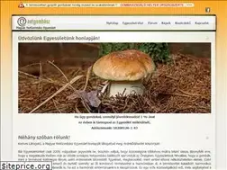Sites similar to netgombasz.hu