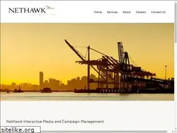 Sites similar to nethawk.net