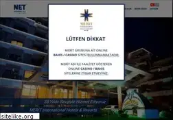 Sites similar to netholding.com