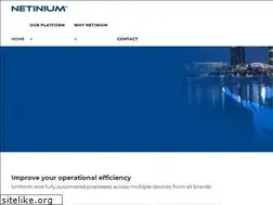 Sites similar to netinium.com