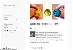 Sites similar to netninja.com