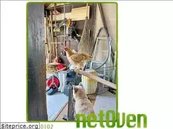 Sites similar to netoven.com