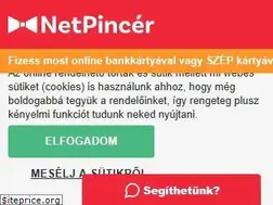 Sites similar to netpincer.com