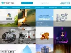 Sites similar to netriks.ru