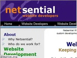 Sites similar to netsential.com