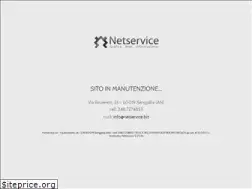 Sites similar to netservice.biz