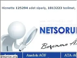 Sites similar to netsorular.com