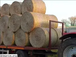 Sites similar to nettle-fibre-company.com