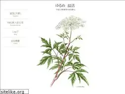 Sites similar to netz.co.jp
