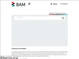 Sites similar to netzwerke.bam.de