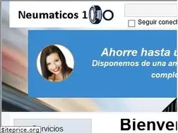 Sites similar to neumaticos100.es