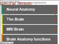 Sites similar to neural.group