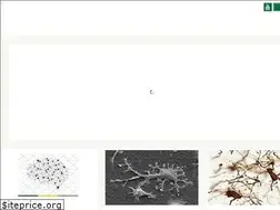 Sites similar to neuro.ufabc.edu.br