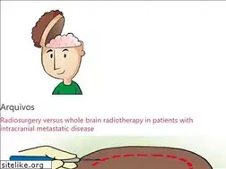 Sites similar to neurocirurgiabr.com