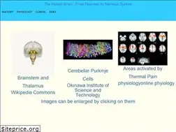 Sites similar to neurones.co.uk
