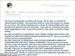Sites similar to neverestlabs.com
