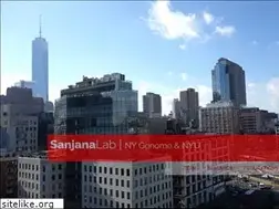 Sites similar to nevillesanjana.com