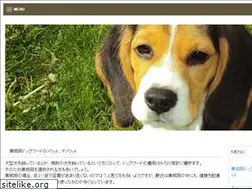 Sites similar to new-page.com