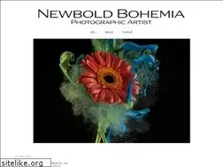 Sites similar to newboldbohemia.com
