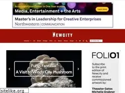 Sites similar to newcitychicago.com