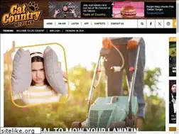 Sites similar to newcountry949.com
