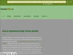 Sites similar to newjerseymold.com