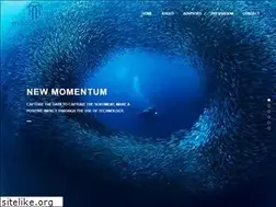 Sites similar to newmomentumcorp.com