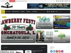Sites similar to neworleanslocal.com