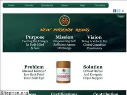 Sites similar to newphoenixrising.com