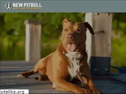 Sites similar to newpitbull.com
