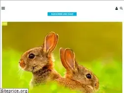 Sites similar to newscientiststudy.com