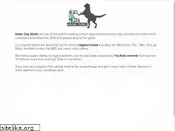 Sites similar to newsdogmedia.co.uk