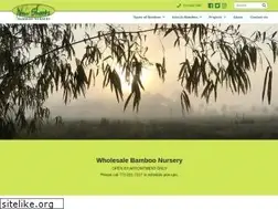 Sites similar to newshootsbamboo.com