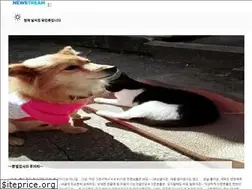 Sites similar to newstream.kr