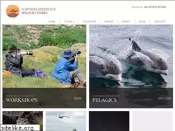 Sites similar to newtltd.co.uk