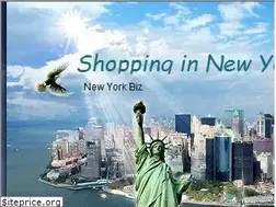 Sites similar to newyorkbiz.com